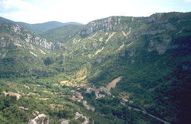 Panorama zwischen Mont Aigoual und Le Vigan