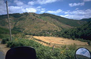 Landschaft beim Mont Aigoual