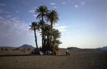 Camp unter Palmen